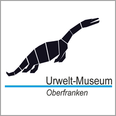 Lösung Museumsrallye – Team Teaching – Evolution